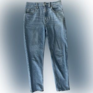 Everlane Cheeky Cropped Jeans